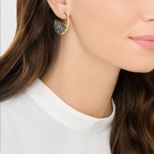 Swarovski Crystaldust Hoop Earrings